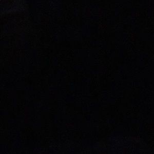 Meet your Posher, Monique